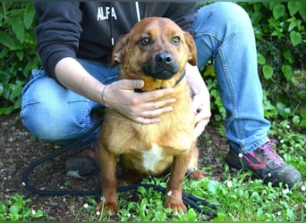 Monaldo - In der Ruhe liegt die Kraft!