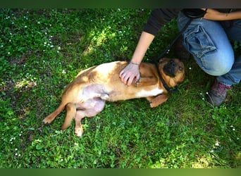 Monaldo - In der Ruhe liegt die Kraft!