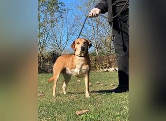 Fortuna - Glück wird mehr, wenn man es teilt