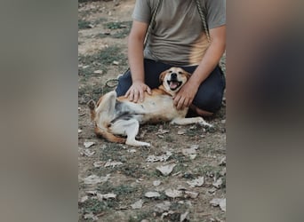 Fortuna - Glück wird mehr, wenn man es teilt