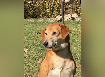 Fortuna - Glück wird mehr, wenn man es teilt