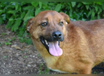 Monaldo - In der Ruhe liegt die Kraft!