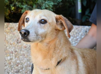 Walker - Die Geschichte vom verlorenen Schatten