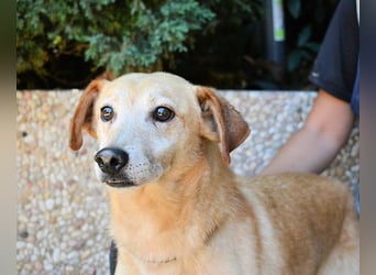 Walker - Die Geschichte vom verlorenen Schatten