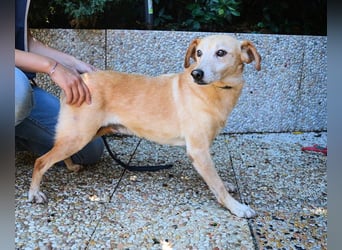 Walker - Die Geschichte vom verlorenen Schatten