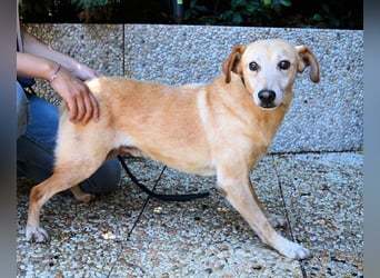 Walker - Die Geschichte vom verlorenen Schatten