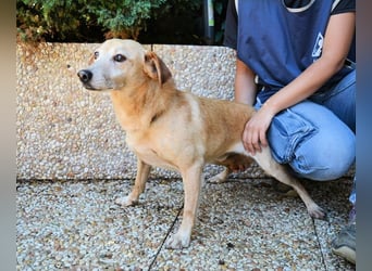 Walker - Die Geschichte vom verlorenen Schatten