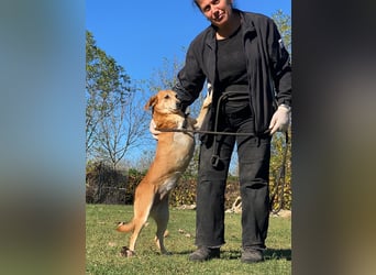 Fortuna - Glück wird mehr, wenn man es teilt