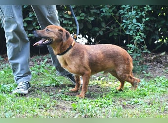 Monaldo - In der Ruhe liegt die Kraft!