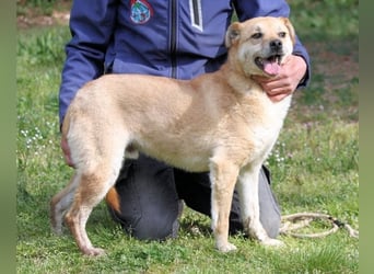 Stanwick - Nachholbedarf