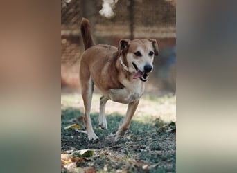 Fortuna - Glück wird mehr, wenn man es teilt