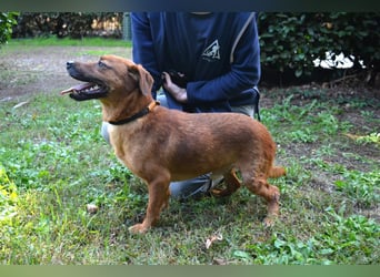 Monaldo - In der Ruhe liegt die Kraft!