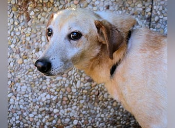 Walker - Die Geschichte vom verlorenen Schatten