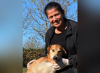 Fortuna - Glück wird mehr, wenn man es teilt