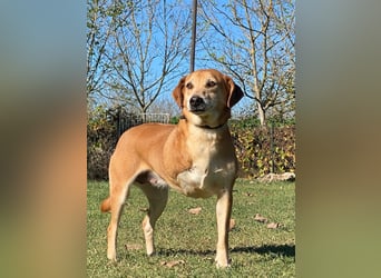 Fortuna - Glück wird mehr, wenn man es teilt