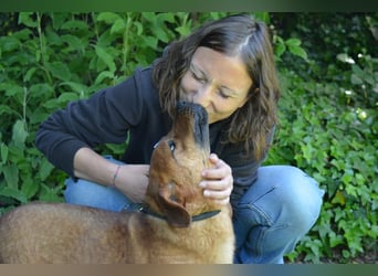 Monaldo - In der Ruhe liegt die Kraft!