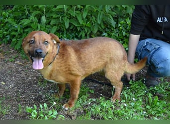 Monaldo - In der Ruhe liegt die Kraft!