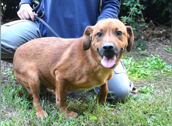 Monaldo - In der Ruhe liegt die Kraft!