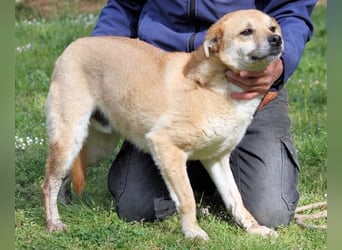 Stanwick - Nachholbedarf