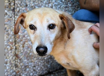 Walker - Die Geschichte vom verlorenen Schatten