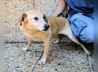 Walker - Die Geschichte vom verlorenen Schatten