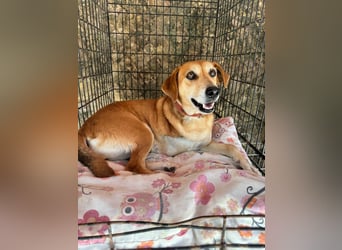 Fortuna - Glück wird mehr, wenn man es teilt