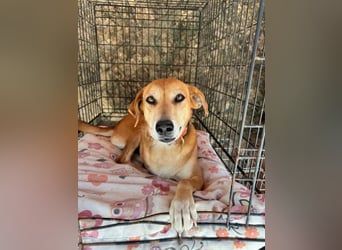 Fortuna - Glück wird mehr, wenn man es teilt