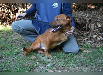 Monaldo - In der Ruhe liegt die Kraft!