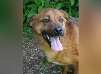 Monaldo - In der Ruhe liegt die Kraft!