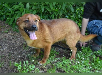 Monaldo - In der Ruhe liegt die Kraft!