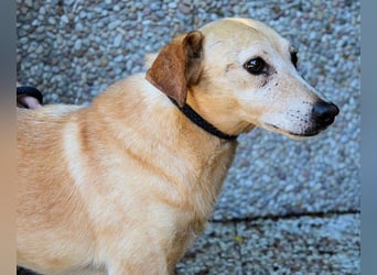 Walker - Die Geschichte vom verlorenen Schatten