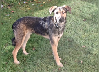 Simon – Jungspund sucht seine Familie