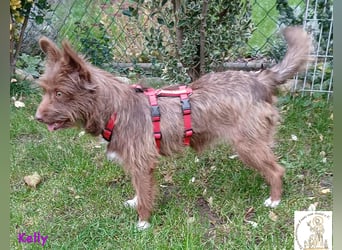 Kelly –  die Frohnatur