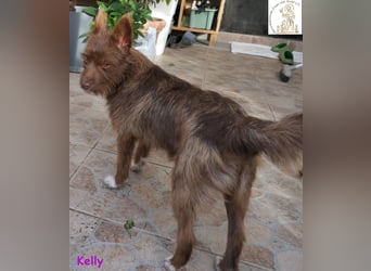 Kelly –  die Frohnatur