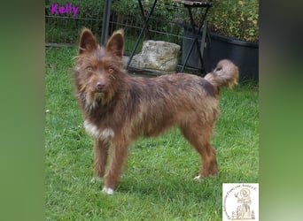 Kelly –  die Frohnatur