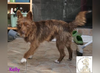 Kelly –  die Frohnatur