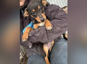 Miko möchte mit dir das Leben kennen lernen