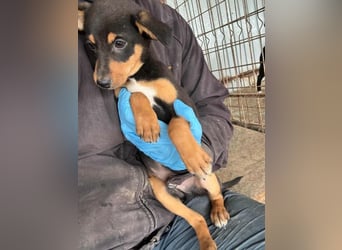 Miko möchte mit dir das Leben kennen lernen