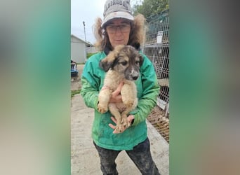 Nabu möchte die Welt mit dir entdecken