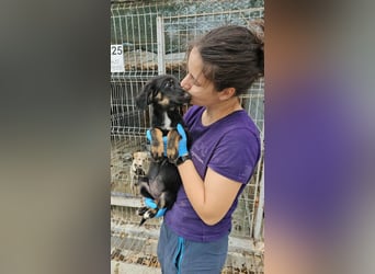 Dottie sucht ihr zu Hause