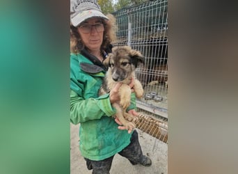 Nabu möchte die Welt mit dir entdecken