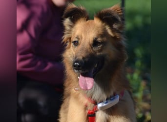 wunderschöne Dani möchte endlich ankommen....