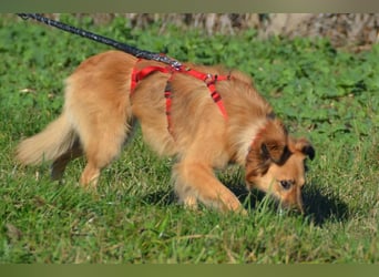 wunderschöne Dani möchte endlich ankommen....