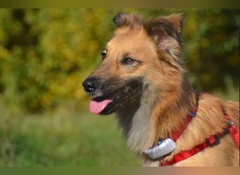 wunderschöne Dani möchte endlich ankommen....