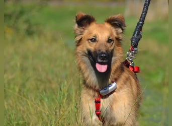 wunderschöne Dani möchte endlich ankommen....