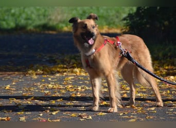 wunderschöne Dani möchte endlich ankommen....