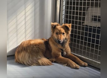 wunderschöne Dani möchte endlich ankommen....