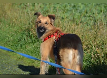 wunderschöne Dani möchte endlich ankommen....