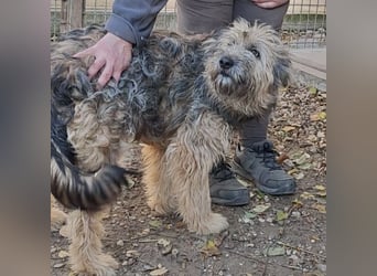 LIBEGÖ LIEBT DIE MENSCHEN