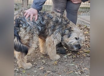 LIBEGÖ LIEBT DIE MENSCHEN